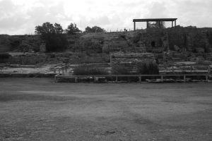 P1000558.png